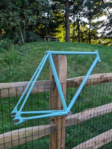 Bianchi track frame - track, size